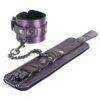 Galaxy Legend Wrist Restraints Purple