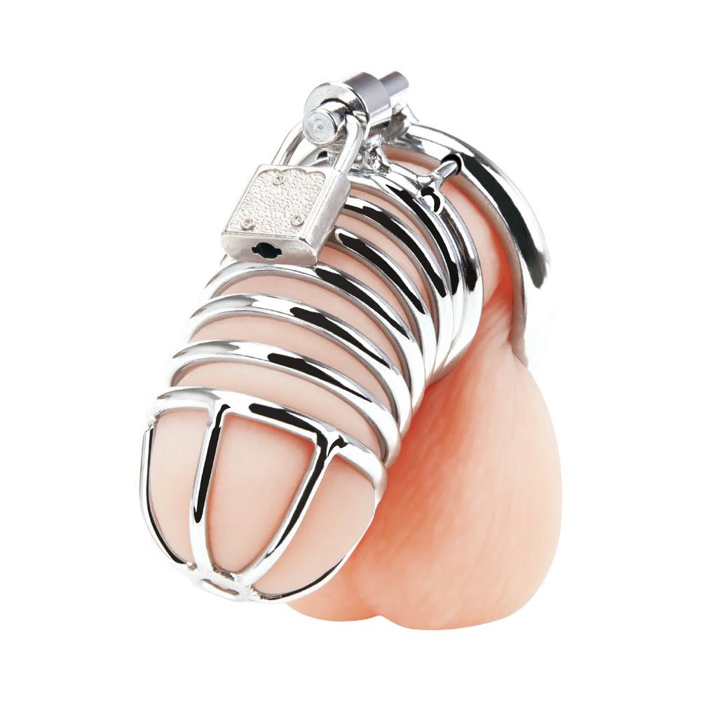Blue Line Deluxe Chastity Cage Silver - Image 3