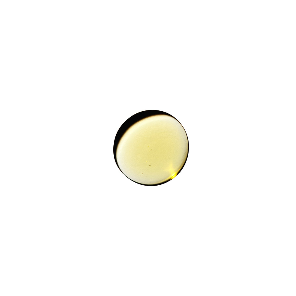 Dame Sex Oil Massage Oil 2 oz. - Image 3