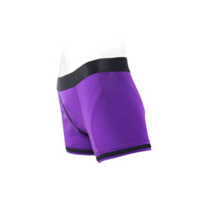 Alternative view of SpareParts Tomboii Nylon Boxer Briefs Harness Purple/Black Size M