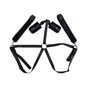 Alternative view of SEI MIO Trussed Issues Adjustable Body Harness Restraint System
