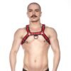 Prowler RED Bull Harness Black/Red L