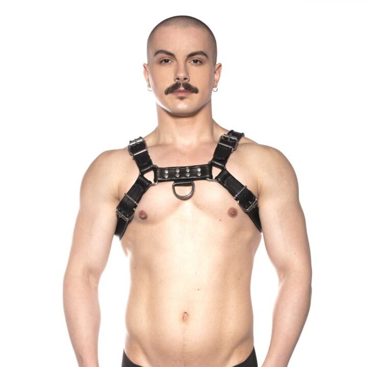 Prowler RED Bull Harness Black M