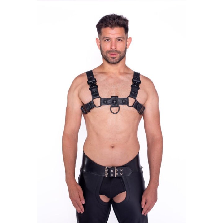 Prowler RED Bull Harness Black with Metal Fittings M