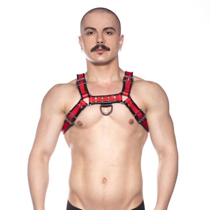 Prowler RED Bull Harness Black/Red M