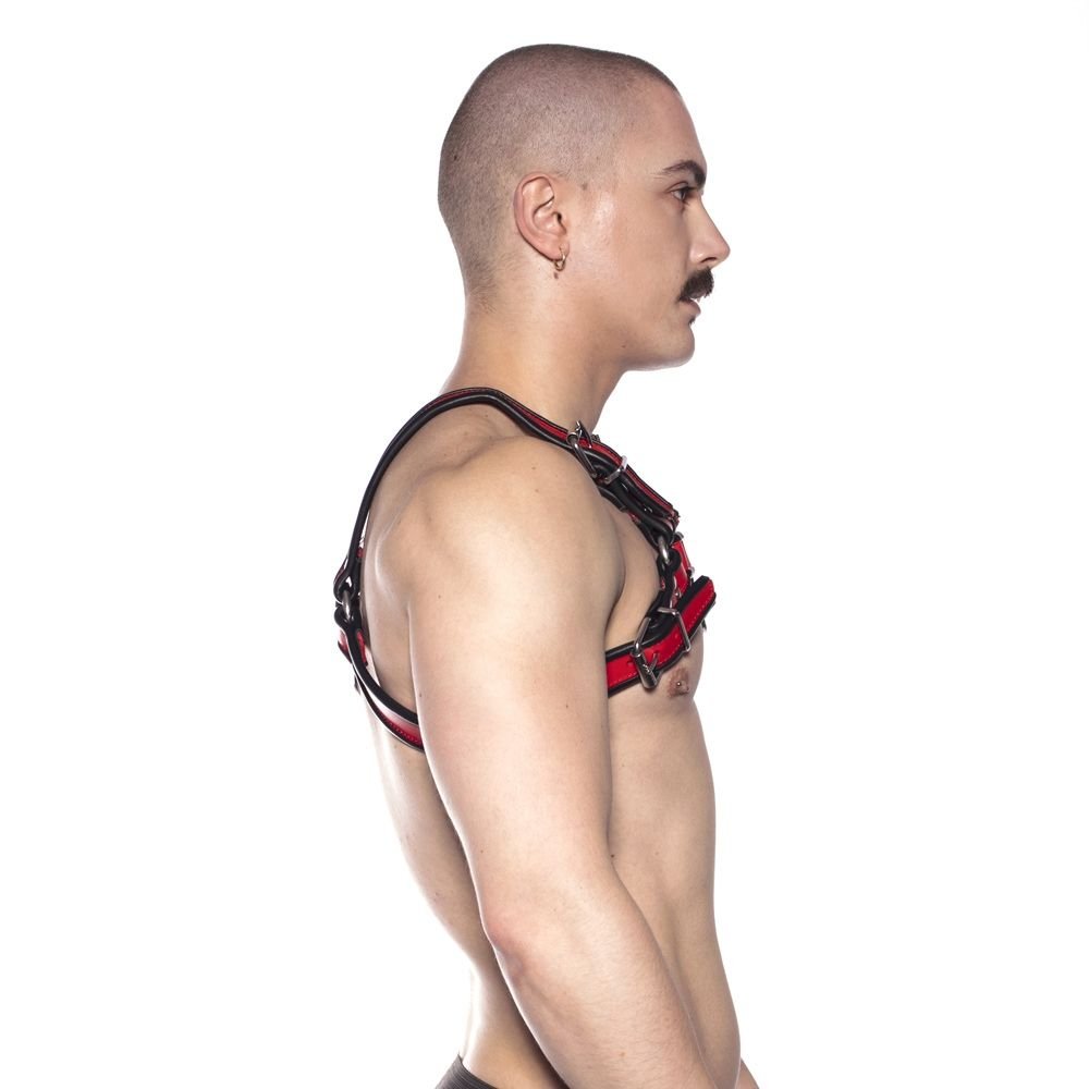 Prowler RED Bull Harness Black/Red S - Image 2