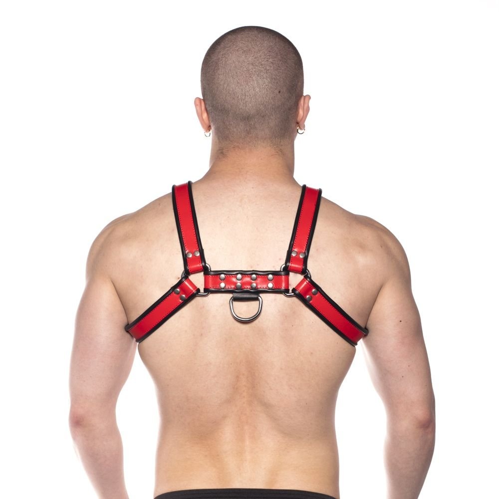 Prowler RED Bull Harness Black/Red S - Image 3