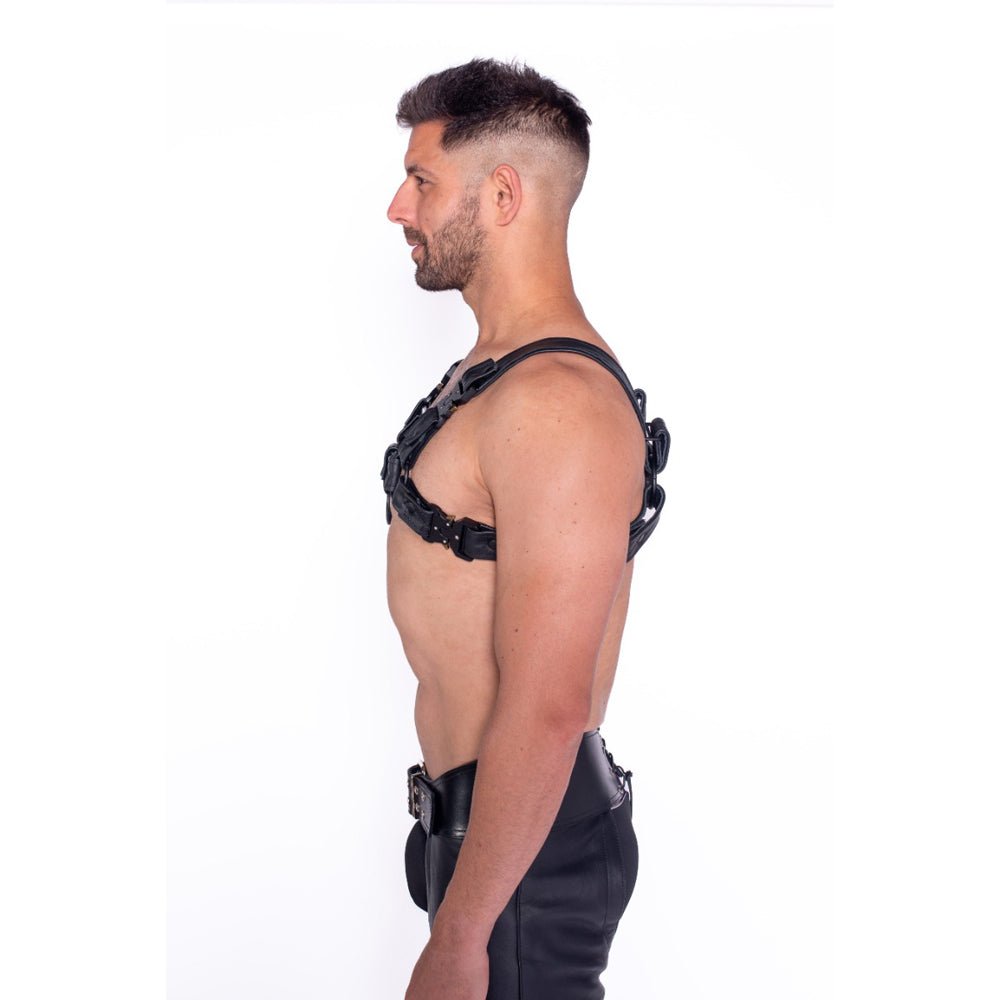 Prowler RED Bull Harness Black with Metal Fittings 2XL - Image 2