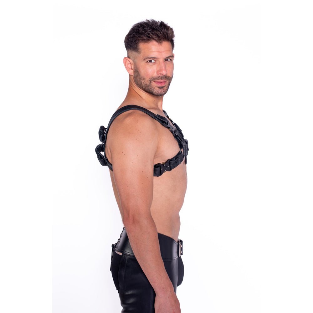 Prowler RED Bull Harness Black with Metal Fittings 2XL - Image 3