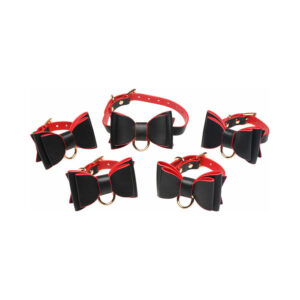 Master Series Goth Bondage Set - Image 5
