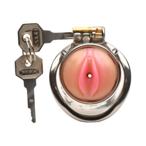 Master Series Pussy Boy Metal Chastity Cage - Image 3